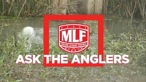 18K views · 509 reactions | In this episode of Ask the Anglers, find out when some MLF pros put away their topwater baits and why some of fish them all year round. | Major League Fishing | Facebook