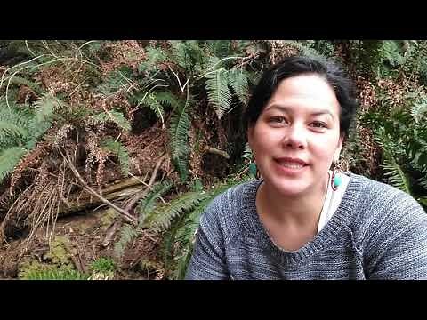 Severn Cullis-Suzuki, Environmentalist & activist