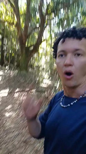 1.1M views · 10K reactions | ⚠️ TODO CUIDAD0 É POUCO #facebookreels #fashion #natureza #love #tbt #cute #life #funny #happy | Viraltok | Facebook