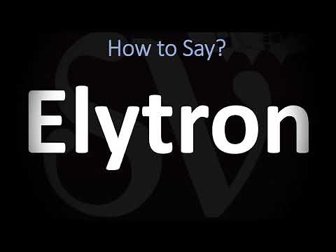 How to Pronounce Elytron? (CORRECTLY)