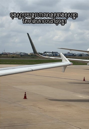 A320 Winglet vs Sharklet: Key Differences Explained