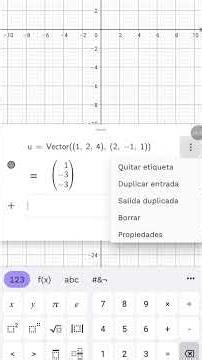 146) Vector, versor y recta, en el espacio. CAS de GeoGebra.
