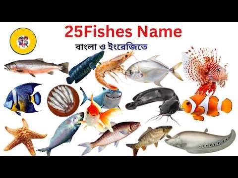 মাছের নাম | 25 Fishes Name Bangla and English | Fish Vocabulary |