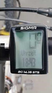 Sigma BC 14.16 STS . 4 Monate jung 🤨