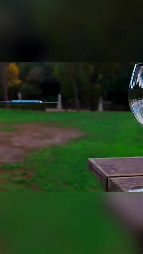 Easy Home Science Tricks You Can Try Today