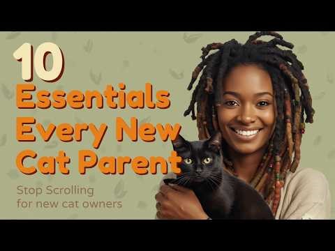 10 Cat Essentials for New addition to the family / Everything a new Cat Parent for your new kitten