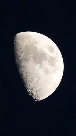 best Zoom Nikon p1000 #nikonp1000 #p1000 #zoom