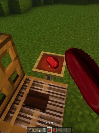 Minecraft Outdoor Grill💀