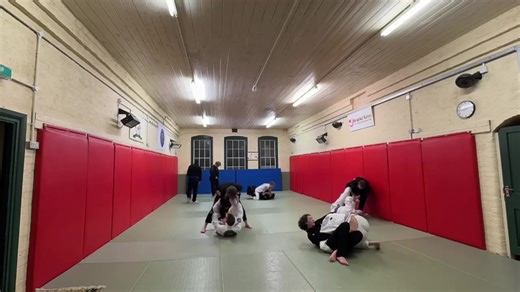 Advanced Brazilian Jiu-Jitsu Sparring Highlights