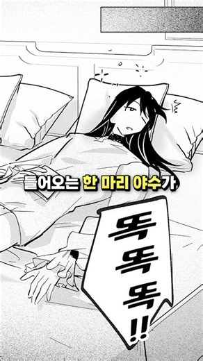 【BL】박을라~~~~~~~~~ #BL리뷰 #DL리뷰 #디엘사이트 #여성향 #만화리뷰 #shorts