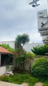 Así me prive | Carlos Jiménez - El Flaco