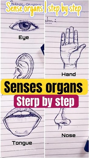 Draw Five Sense Organs | 💯Draw Easy #shorts #senseorgans #explore #explorepage #art #yt #fypシ