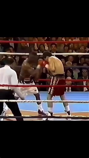 🥊 Honoring the Legend: Julio César Chávez Sr., the Mexican Maestro of the Ring! 🇲🇽 With an unmatched 107-6-2 record, 86 KOs, and a reign as a multi-division world champion, Chávez Sr. redefined dominance in boxing. From his relentless pressure to his iron chin and devastating left hook, he carved his name as one of the all-time greats. Six world titles across three weight classes, an 87-fight unbeaten streak, and iconic battles against Meldrick Taylor, Frankie Randall, and Oscar De La Hoya ce