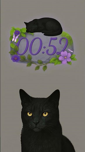 Countdown Timer WebM | Twitch OBS StreamLabs