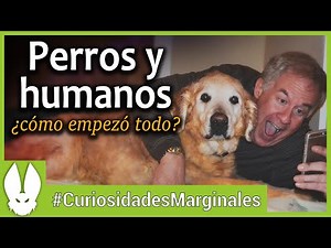 La Relación entre Perros y Humanos
