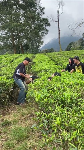 My plans were thwarted again by that group of people #shortvideo #comedy #funny #automobile #shorts