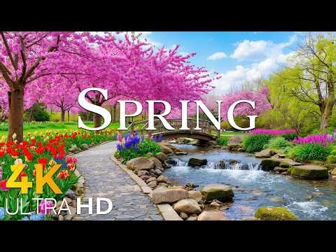 Spring in Switzerland 4K 🌸 Scenic Valleys & Crystal Clear Waters