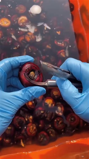 Relaxing ASMR Sounds with Satisfying Fruits