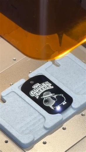 As a new security measure anyone taking part in this year’s Golden Fleece will have to wear a "Dog Tag". Anyone found partaking in our ultra buffet without one will be dragged to a side and severely beaten. Hopefully this will discourage people from "just joining in" 🤣 | The Golden Fleece Circuit