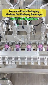 Pre-made Pouch Blueberry Beverage Packaging Machine