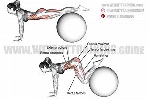 Stability ball jackknife exercise instructions and video | Weight Training Guide
