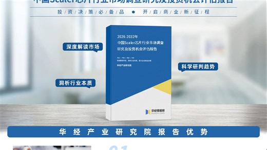 2025年中国Scaler芯片行业深度分析报告-华经产业研究院