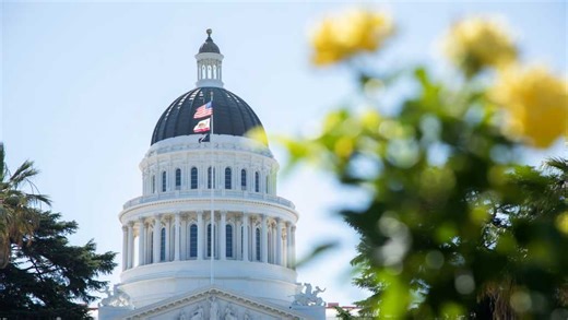 New California laws starting July 1: Subscriptions, drink lids, stolen online goods, pet insurance