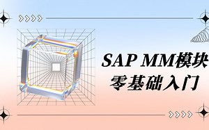 SAP MM MRP基础知识