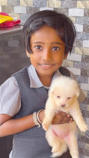School mudinji vanthale🐶கொஞ்சாம போக மாட்டேன் Puppy🥰🤌|#rubistyle #minivlog #puppy