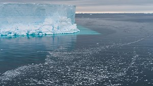 Antarctic iceberg the size of Chicago breaks off, reveals thriving undersea ecosystem