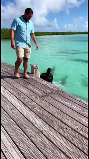Funny & Shocking Moment as Fish Strikes 😆