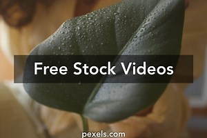 Home Care Videos, Download The BEST Free 4k Stock Video Footage & Home Care HD Video Clips