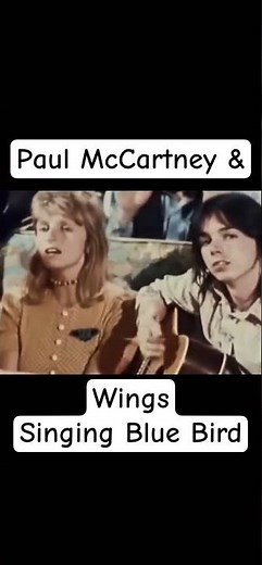 The Beatles : Paul McCartney and Wings singing Blue Bird #beatlesmember #thebeatles