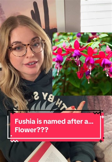 Random Color History Moment 👆🌈 #colorpalette #colorhistory #graphicdesign #graphicdesigner #fushia