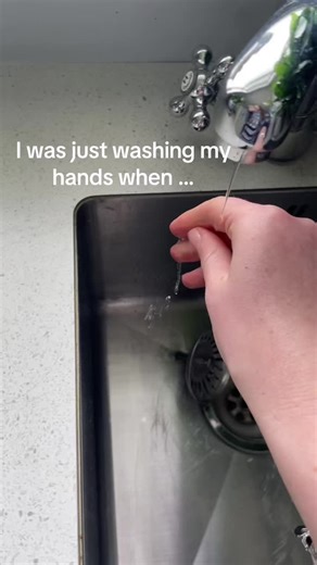 Fairy Hunter Encounters a Ring-Snatching Fairy! What Happens Next?