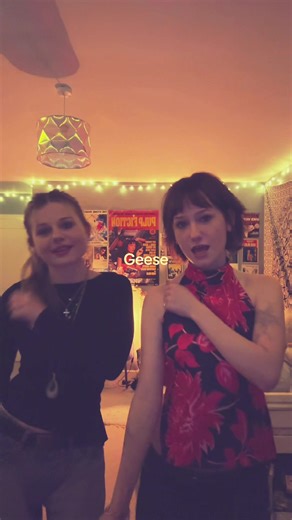 Understanding Geese: Behavior and Fun Facts