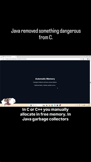 Why Java Removed Pointers #apaaradise