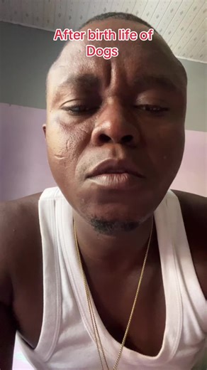 Essential Milk Booster for Nursing Dogs