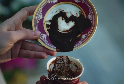 “Senin yurdun benim“ 🥀#calikusu #turkishdrama #keşfet #feridekamran #çalıkuşu