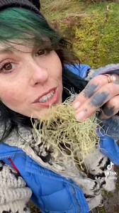 This is Usnea it’s a very useful plant that can be found all over the world and used for so many things! #whichbetty #foragingadventures #foraging #forager #usnea #plants #wildmedicine #naturalremedies #immunesystem #immunesupport | Elizabeth Burdock