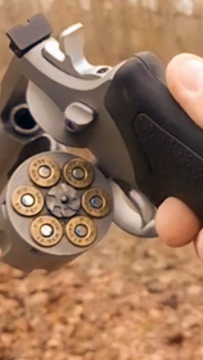 Revolver Taurus Model 44 .44 Magnum #acehgunfishing