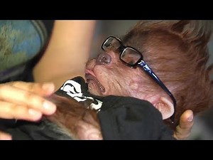 I Make Werewolf Babies