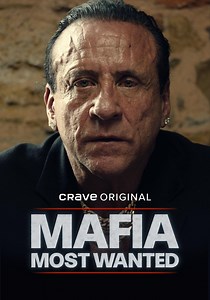 Mafia: Most Wanted Season 1 - watch episodes streaming online