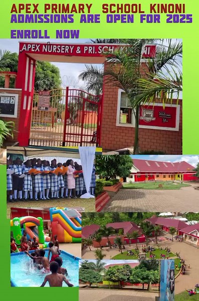 Apex primary school kinoni (@apexnurseryandprimarysch)’s videos with original sound - Apex primary school kinoni