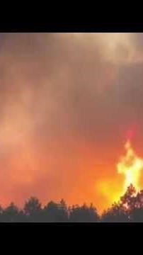 Landes wildfires: "In 12-13 years as a firefighter, I've never seen anything like this"