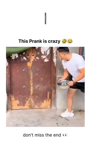 International Reel Hub on Instagram: "Falling asleep is closely linked to the state of the nervous system and the level of stimulation accumulated throughout the day. When the brain remains in a state of alertness—often due to stress, anxiety, or excessive screen exposure—the body struggles to naturally shift into rest mode. Reducing stimulation before bedtime is essential to prepare the body for sleep. Lowering light levels, avoiding overly stimulating content, and creating a calm environment s