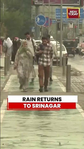 Rain Brings Weather Change To Srinagar As Showers Lash Parts Of Jammu & Kashmir #shorts
