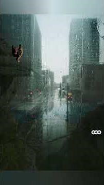 sjava kuye tradução português