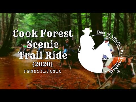 Cook Forest Scenic Trail Rides, Dude Ranch, & Campground - PA (2020)