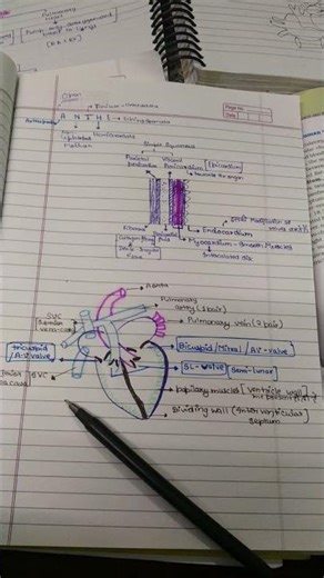 Notes of Ch- Body Fluids And Circulation Class 11 #neet #zoology #heartdiagram
